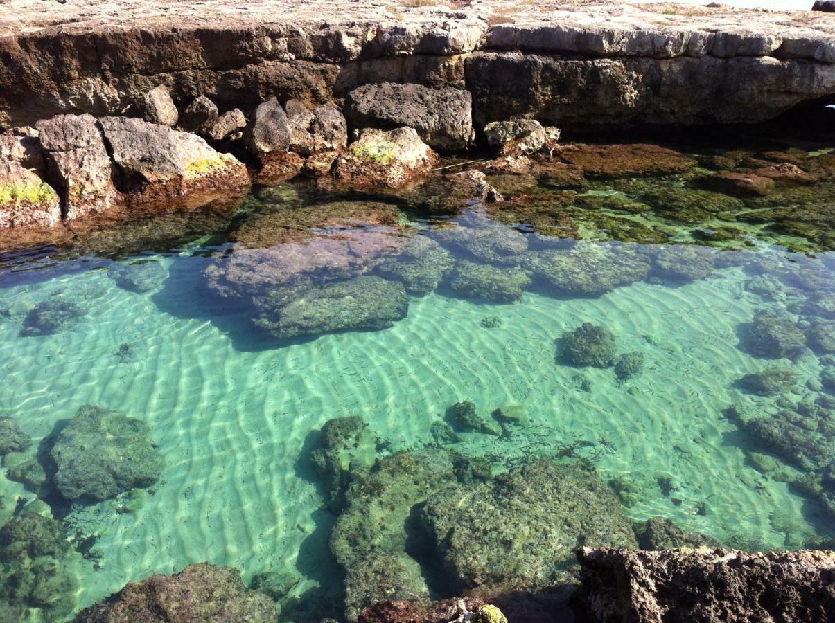 La Baita Sul Mare Apartment โมโนโปลี ภายนอก รูปภาพ